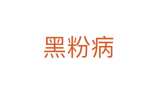 黑粉病