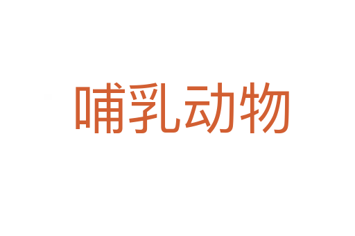 哺乳动物