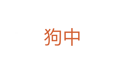 狗中