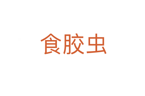 食胶虫