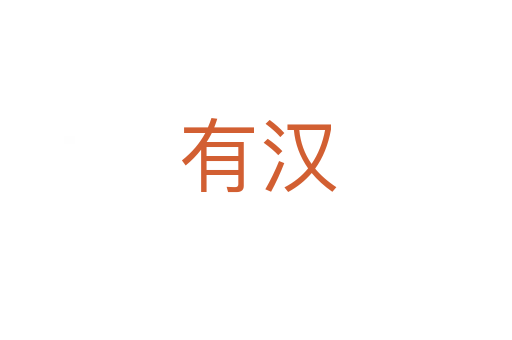 有汉