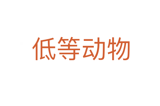 低等动物
