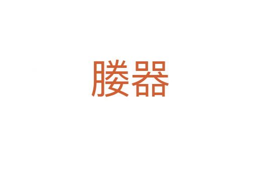 媵器