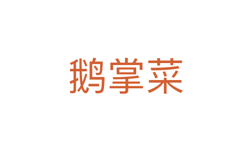 鹅掌菜
