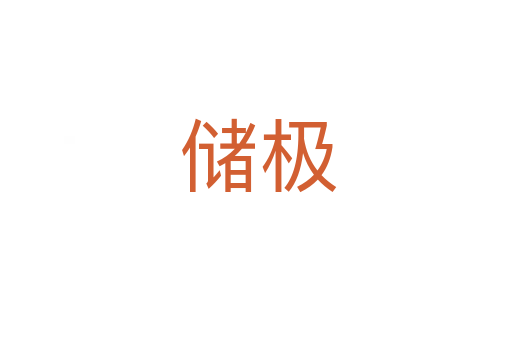 储极