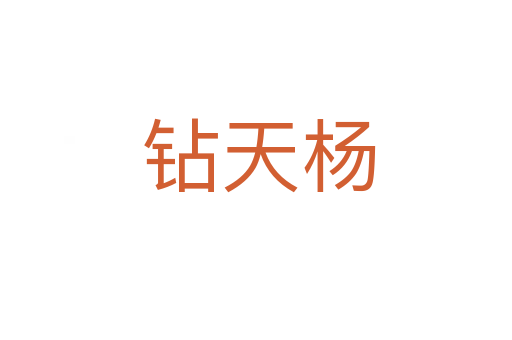 钻天杨
