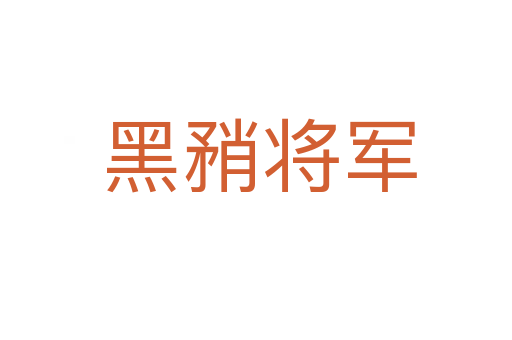 黑矟将军