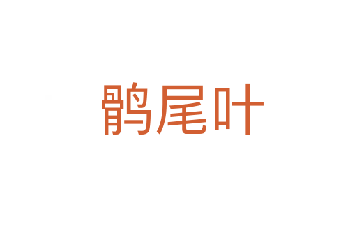 鹘尾叶