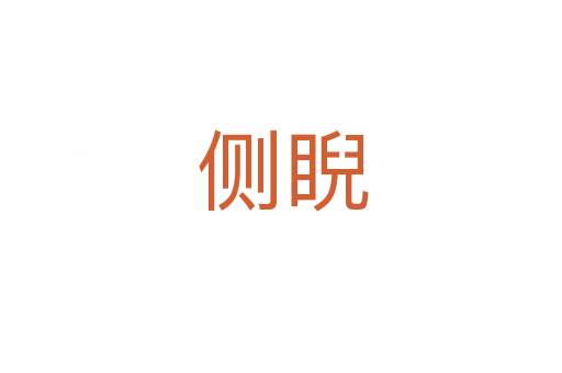 侧睨