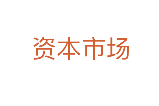 资本市场