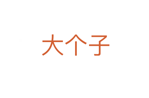 大个子