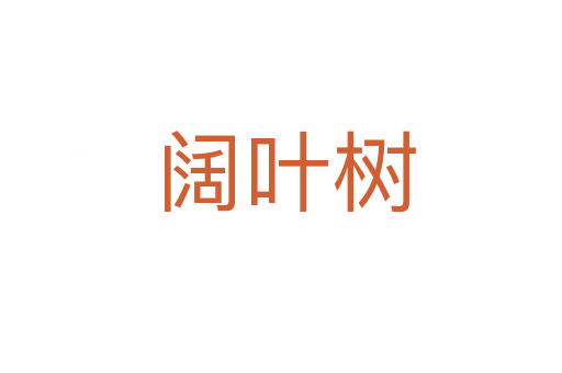 阔叶树