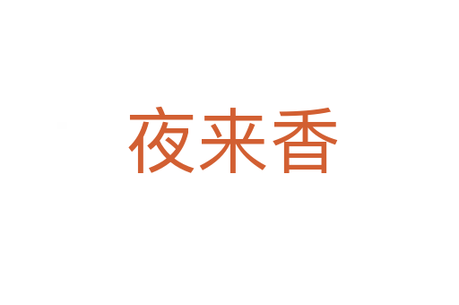 夜来香