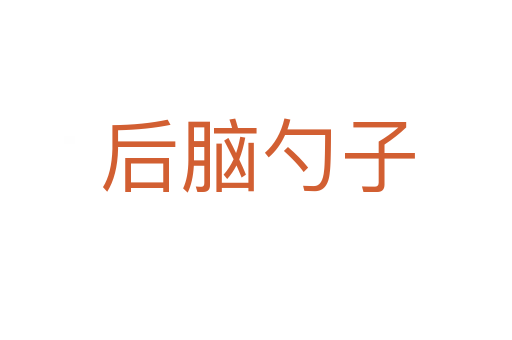 后脑勺子