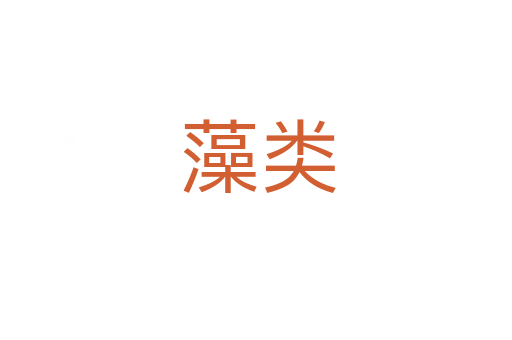藻类