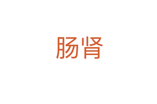 肠肾