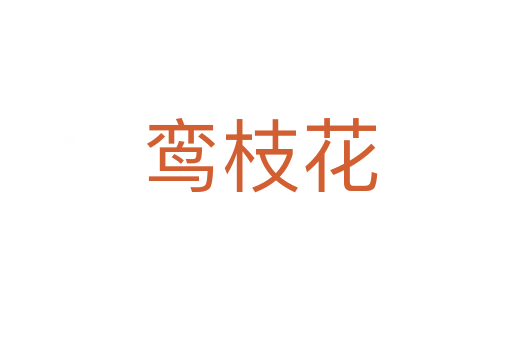 鸾枝花
