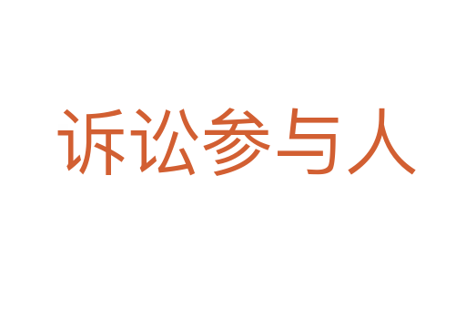 诉讼参与人