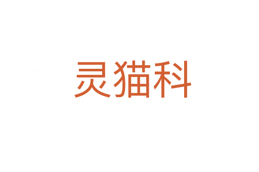 灵猫科