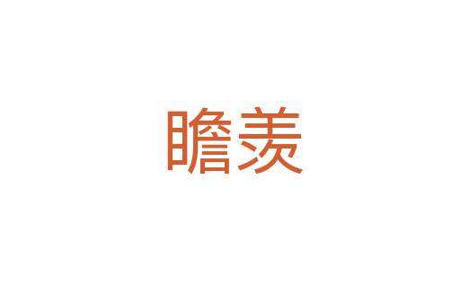 瞻羡
