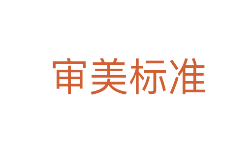 审美标准