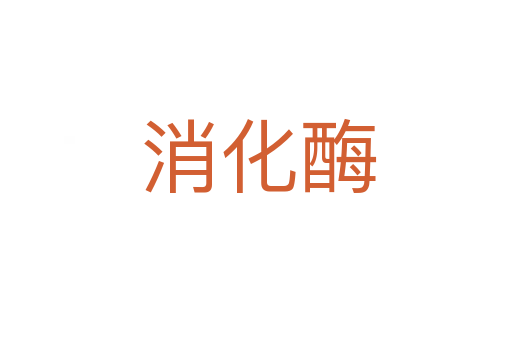 消化酶