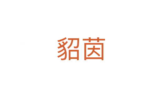 貂茵