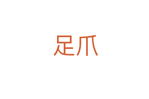 足爪