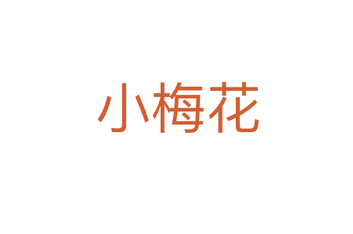 小梅花