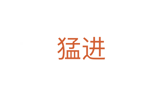 猛进