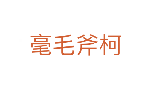 毫毛斧柯