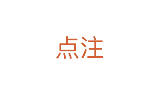 点注