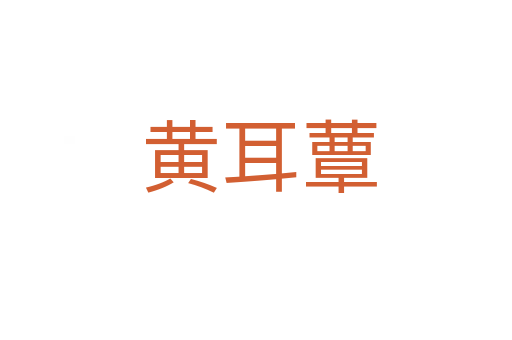 黄耳蕈