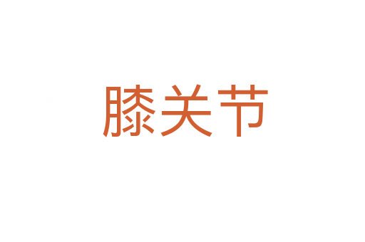膝关节