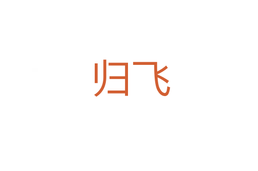 归飞
