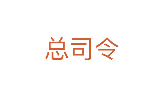 总司令