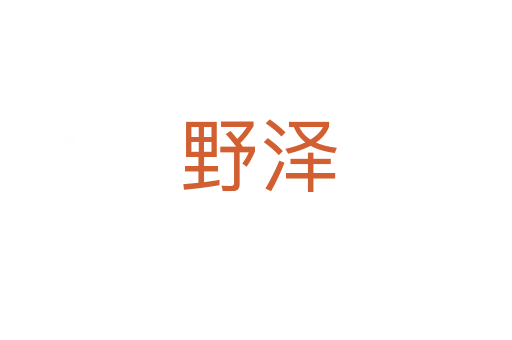 野泽