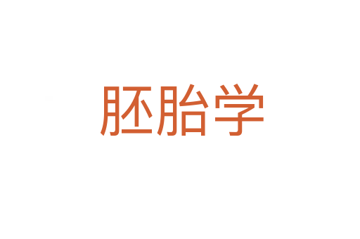 胚胎学