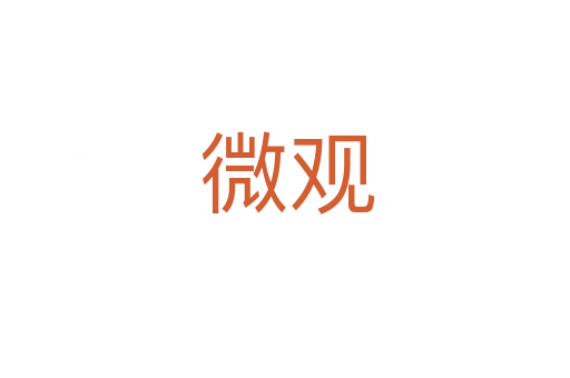 微观