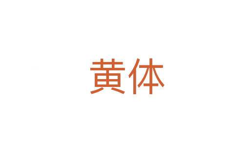 黄体