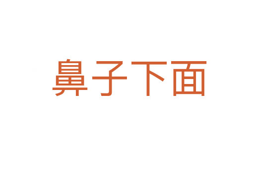 鼻子下面