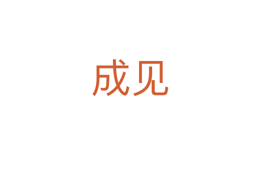 成见