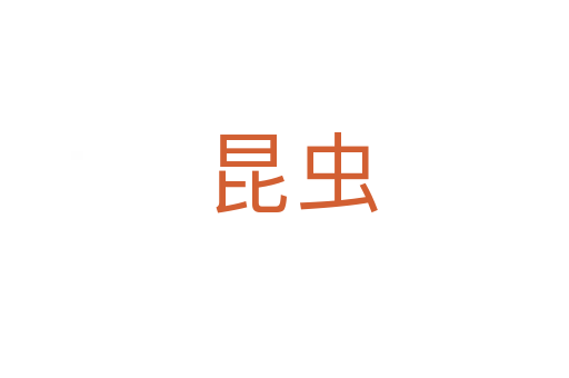 昆虫