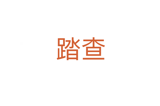 踏查