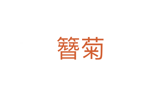 簪菊