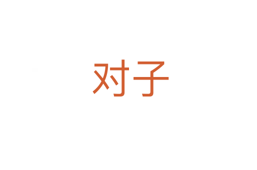 对子