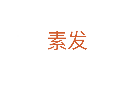 素发