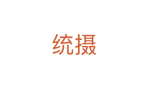 统摄
