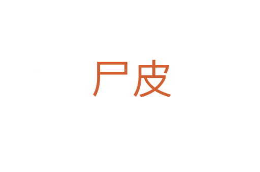 尸皮