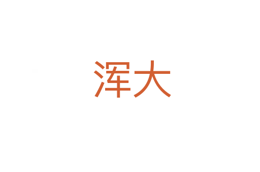 浑大
